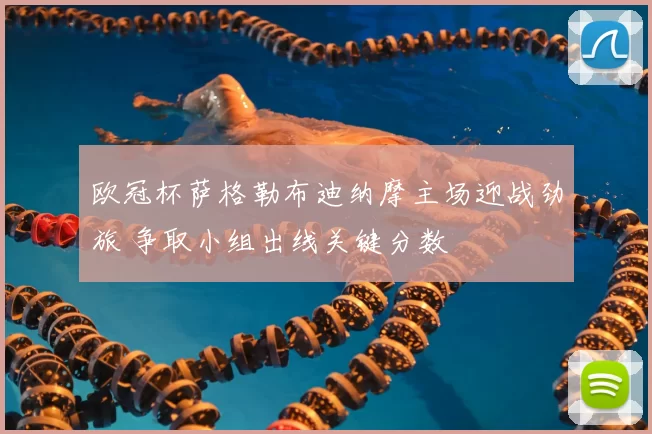 欧冠杯萨格勒布迪纳摩主场迎战劲旅 争取小组出线关键分数