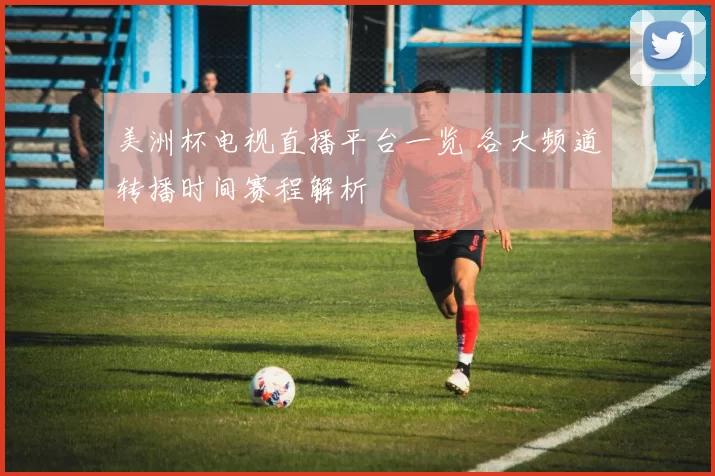 美洲杯电视直播平台一览 各大频道转播时间赛程解析